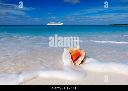 Wasser Spritzen Queen Conch Muschel auf dem Sand Strand und Cruise Line Schiff am Horizont. Stockfoto