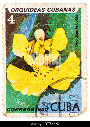 Kuba - CIRCA 1980: eine Briefmarke gedruckt in Kuba zeigt Oncidium Leiboldii, Orchidee, ca. 1980 Stockfoto