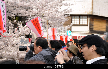 Japaner fotografieren Sakura (Kirsche Baum Blüte) während Hanami - Tokyo-Japan Stockfoto