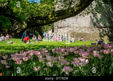 Touristen genießen die Sonne im Frühsommer in den Museum Gardens, York Stockfoto