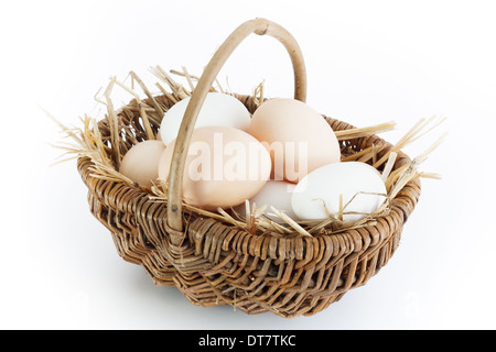 Frischen Eiern vom Bauernhof ohne GVO Stockfoto