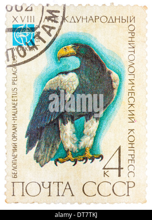 Stempel, gedruckt in der UdSSR (Russland) zeigt einen Vogel Haliaeetus pelagitus Stockfoto