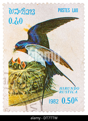 LAOS - CIRCA 1982: Eine Briefmarke gedruckt in LAOS zeigt Rauchschwalbe (Hirundo Rustica), von Serie Vögel, ca. 1982 Stockfoto