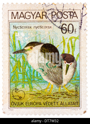 Briefmarke gedruckt in Ungarn zeigt Schwarz-gekrönter Nachtreiher, mit der Aufschrift "Nycticorax Nycticorax" Stockfoto