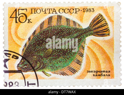 Russland - ca. 1983: Briefmarke gedruckt von Russland, zeigt unter Wasser Fische Flunder, ca. 1983 Stockfoto