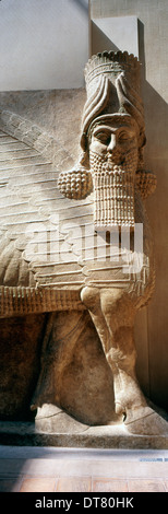 Persischen geflügelten Stier (5. Jh. v. Chr.) auf dem Display im Louvre, Paris, Frankreich Stockfoto