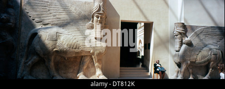 Persischen geflügelten Stier (5. Jh. v. Chr.) auf dem Display im Louvre, Paris, Frankreich Stockfoto