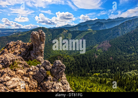 Sommer Landschaft mit hohen Felsen in Polen, Tatra-Gebirge in Europa. Stockfoto