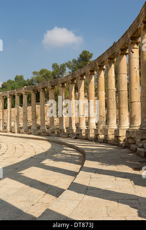 Spalten mit dem antiken Forum romanum Oval in Jerash, Jordanien Stockfoto