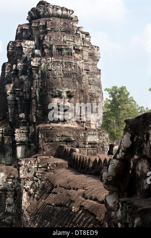 Stone Gesicht, Angkor Thom Siem Reap Kambodscha Stockfoto