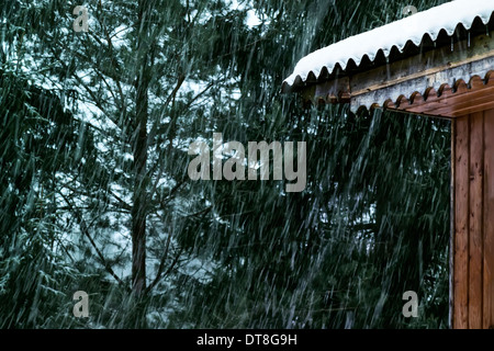 Schneesturm, ungemütlichem Wetter Stockfoto