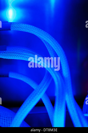 UV-Leuchten-Computer-Kabel Stockfoto