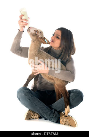 junges Lamm saugen eine Flasche füttern mit Frau vor weißem Hintergrund Stockfoto