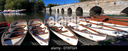 Eine Reihe von Ruderboote zu mieten, die durch den Fluss Avon, Warwickshire, England Stratford-upon-Avon Stadt festgemacht; Großbritannien; UK Stockfoto