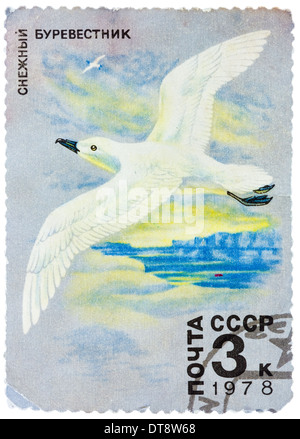 UdSSR - CIRCA 1978: A Briefmarke gedruckt in USSR zeigt Bild von einem weißen geflügelten Sturmvogel aus der Serie "Antarktischen Fauna", ca. 1978 Stockfoto