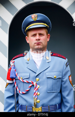 Uniformierte Wachburg Sentry Prag-Tschechien-Europa-CZ Stockfoto