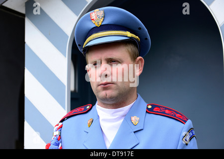 Uniformierte Wachburg Sentry Prag-Tschechien-Europa-CZ Stockfoto