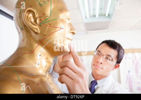 chinesische Medizin Arzt Lehre Akupunkturpunkte am menschlichen Modell Stockfoto