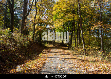 Herbst-Straße Stockfoto