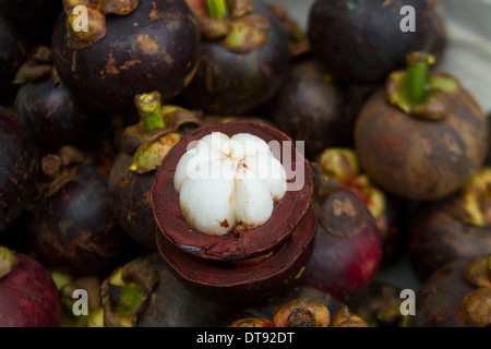 Mangostan (Garcinia Mangostana) lokale tropische Früchte in Südostasien Stockfoto