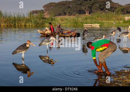 Ein Fischer waschen im See, der Fisch Markt, See Hawassa Hawassa, Äthiopien Stockfoto