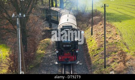 Moritzburg, Deutschland. 8. Februar 2014. Die historischen Radebeul? Radeburg-Eisenbahn, auch genannt Loessnitzgrundbahn (beleuchtet: Loessnitz Valley Railway) und den Spitznamen lokal als Loessnitzdackel (beleuchtet: Loessnitz Dackel) fährt in Friedewald Bahnhof in Moritzburg, Deutschland, 8. Februar 2014. Am 10. Februar 2014 die verknüpften Transportsystem "Oberelbe" gibt einen Überblick über seine Schmalspurbahnen und gibt eine Vorschau auf 2014. Foto: Oliver Killig/ZB/Dpa/Alamy Live News Stockfoto