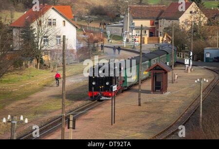 Moritzburg, Deutschland. 8. Februar 2014. Die historischen Radebeul? Radeburg-Eisenbahn, auch genannt Loessnitzgrundbahn (beleuchtet: Loessnitz Valley Railway) und den Spitznamen lokal als Loessnitzdackel (beleuchtet: Loessnitz Dackel) fährt in Friedewald Bahnhof in Moritzburg, Deutschland, 8. Februar 2014. Am 10. Februar 2014 die verknüpften Transportsystem "Oberelbe" gibt einen Überblick über seine Schmalspurbahnen und gibt eine Vorschau auf 2014. Foto: Oliver Killig/ZB/Dpa/Alamy Live News Stockfoto