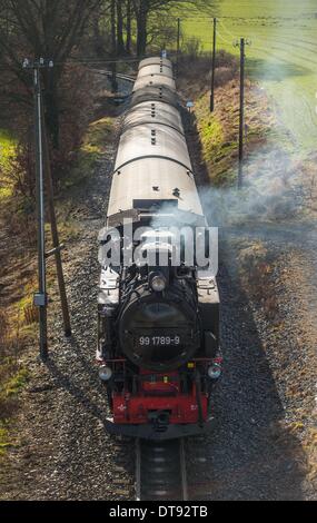 Moritzburg, Deutschland. 8. Februar 2014. Die historischen Radebeul? Radeburg-Eisenbahn, auch genannt Loessnitzgrundbahn (beleuchtet: Loessnitz Valley Railway) und den Spitznamen lokal als Loessnitzdackel (beleuchtet: Loessnitz Dackel) fährt in Friedewald Bahnhof in Moritzburg, Deutschland, 8. Februar 2014. Am 10. Februar 2014 die verknüpften Transportsystem "Oberelbe" gibt einen Überblick über seine Schmalspurbahnen und gibt eine Vorschau auf 2014. Foto: Oliver Killig/ZB/Dpa/Alamy Live News Stockfoto