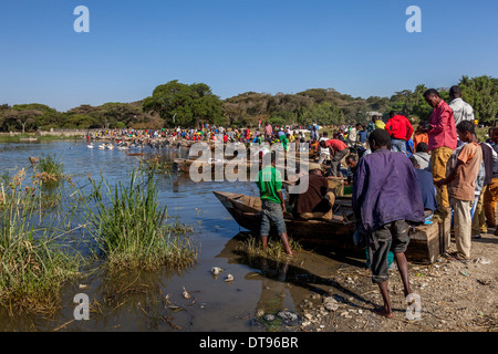 Der Fisch Markt, See Hawassa Hawassa, Äthiopien Stockfoto