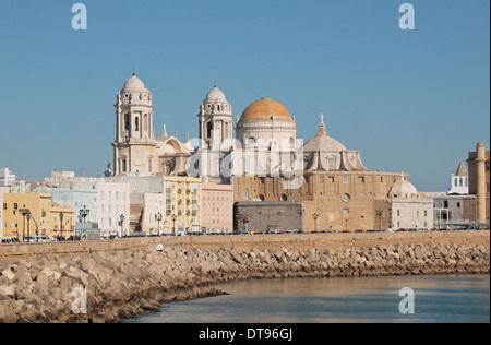 Der Kuppel von Cadiz Kathedrale (Catedral Nueva) betrachtet entlang der Promenade von Campo del Sur in Cadiz, Andalusien, Spanien. Stockfoto