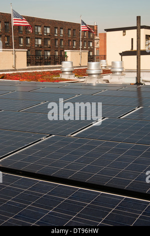 Eine Dachterrasse mit Garten, die Bestandteil einer öffentlichen Wohnprojekt in der Bronx, NY mit Sonnenkollektoren ist. Stockfoto