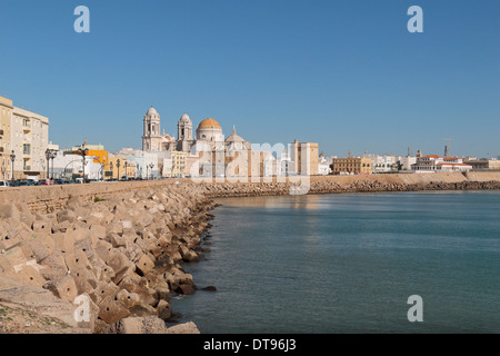 Der Kuppel von Cadiz Kathedrale (Catedral Nueva) betrachtet entlang der Promenade von Campo del Sur in Cadiz, Andalusien, Spanien. Stockfoto