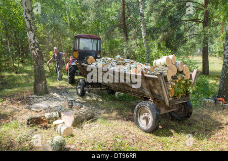 Bauernhof Traktor und Wagen voller frisch Brennholz. Zawady Zentralpolen Stockfoto