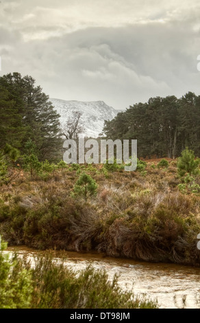 Frühwinter im Rothiemurchus Estate im Cairngorms National Park, Blick über das Allt Druidh brennen in Richtung Lairig Ghru. Stockfoto