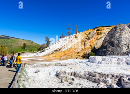 Touristen, die Anzeigen der Travertin-Terrassen zur Palette Spring, Mammoth Hot Springs, Yellowstone-Nationalpark, Wyoming, USA Stockfoto