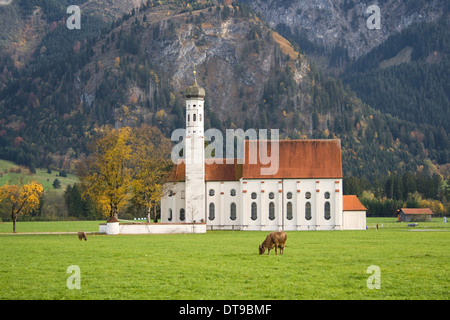 Kirche in eine Wiese mit zwei Kühe in der Nähe von Schloss Neuschwanstein Castle, Bayern, Deutschland. Stockfoto