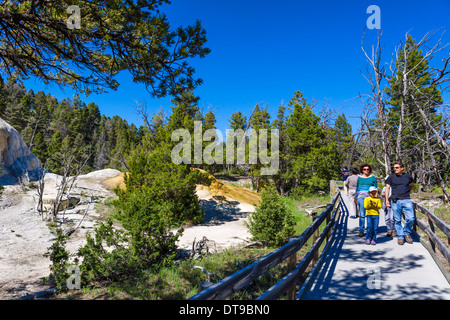 Touristen auf Spuren von Orange Spring Mound Travertin Bildung, Mammoth Hot Springs Terrassen, Yellowstone Nationalpark, WY, USA Stockfoto