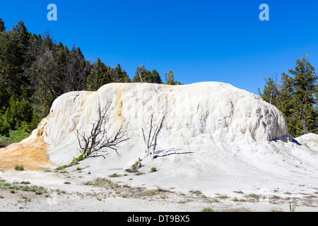 Orange Spring Mound Travertin Bildung bei Mammoth Hot Springs Terrassen, Yellowstone-Nationalpark, Wyoming, USA Stockfoto