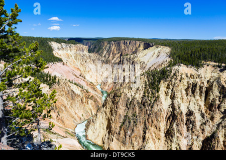 North Rim Aussichtspunkt über den Grand Canyon des Yellowstone, Yellowstone-Nationalpark, Wyoming, USA Stockfoto