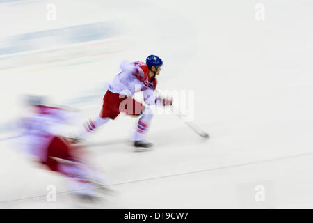 Sotschi, Krasnodar Krai, Rußland. 12. Februar 2014. Tschechische Republik Patrik ELIAS in Aktion während der Herren Eishockey Vorrunde zwischen Schweden und der Tschechischen Republik im Bolschoi Ice Dome, Coastal Cluster - XXII Olympische Winter-Spiele-Credit: Action Plus Sport/Alamy Live News Stockfoto