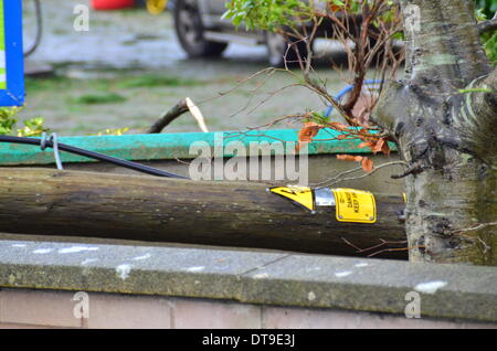 Abbeydorney, in der Nähe von Tralee, County Kerry, Irland. 12. Februar 2014. Beinahe-Katastrophe als ein Pol mit Kabel Leben fällt Meter eine funktionierende Zapfsäule. Bildnachweis: James Loveridge/Alamy Live-Nachrichten Stockfoto