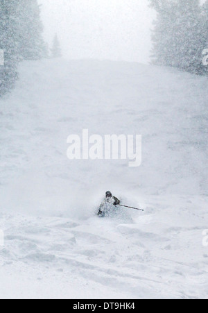 Skifahrer im tiefen Pulverschnee, Monarch Mountain, Colorado, USA Stockfoto