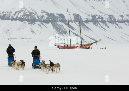 Hundeschlitten-Teams Rennen abseits der Noorderlicht "Schiff im Eis", Tempel Fjord (Tempelfjorden), Inselgruppe Svalbard, Spitzbergen, Norwegen Stockfoto