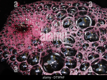 abstrakt, Hintergrund, schön, Schönheit, schwarz, blau, Bläschen, schließen, Closeup, Löwenzahn, Detail, Tau, Tropfen, Tropfen, Tropfen, Env Stockfoto