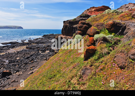 Kap Schanck Mornington-Halbinsel Victoria Australien Stockfoto