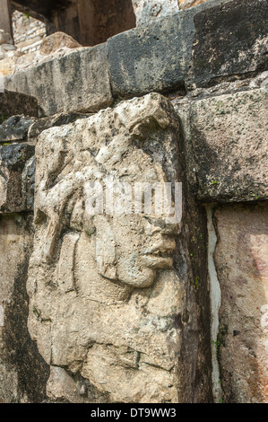 Reliefs an Ruinen von Palenque, Mexiko Stockfoto