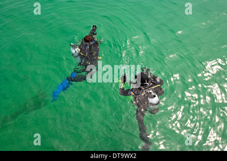 Scuba-Treiber in Port Phillip Bay Victoria Australien Stockfoto