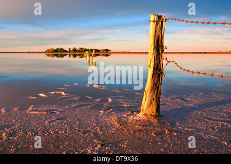 Salzpfanne in der Nähe von Lake Alexandrina in South Australia Stockfoto