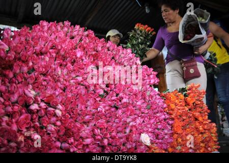 Manila, Philippinen. 13. Februar 2014. Rosen zum Verkauf werden einen Tag vor Valentinstag auf dem Dangwa Blumenmarkt in Manila, Philippinen, 13. Februar 2014 gesehen. Viele Blumenhändler haben beginnt mit dem Verkauf von Blumen und Rosen aus Anlass des Valentins Day.Photo: Ezra Acayan/NurPhoto Credit: Ezra Acayan/NurPhoto/ZUMAPRESS.com/Alamy Live News Stockfoto