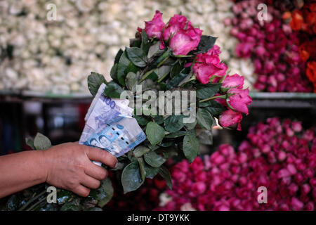 Manila, Philippinen. 13. Februar 2014. Ein Blume-Anbieter hält sich an ein Bündel von Rosen und philippinischer Peso Rechnungen am Tag vor Valentinstag auf dem Dangwa Blumenmarkt in Manila, Philippinen, 13. Februar 2014. Viele Blumenhändler haben beginnt mit dem Verkauf von Blumen und Rosen aus Anlass des Valentins Day.Photo: Ezra Acayan/NurPhoto Credit: Ezra Acayan/NurPhoto/ZUMAPRESS.com/Alamy Live News Stockfoto